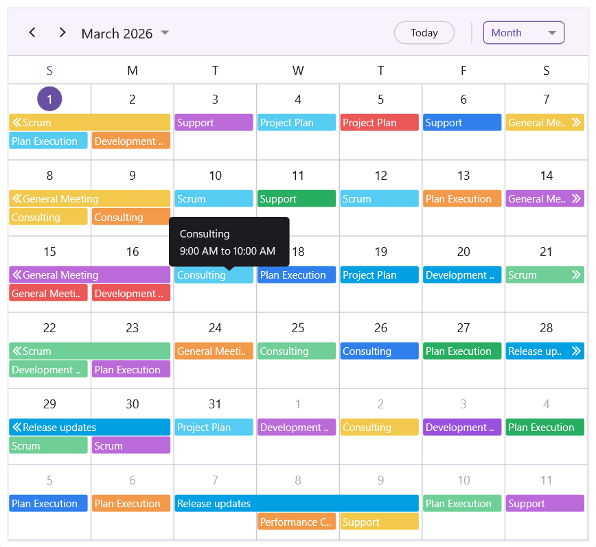 .NET MAUI Scheduler appointment tooltip