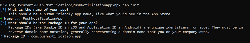 Fill out the app details