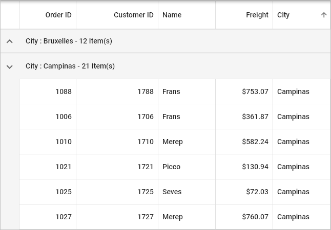 Custom Grouping Logic Feature in Flutter DataGrid