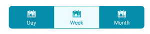 Xamarin.Forms Segmented Control with Font Icons