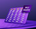 Styling Made Easy in .NET MAUI DataGrid: A Simplified Customization Guide
