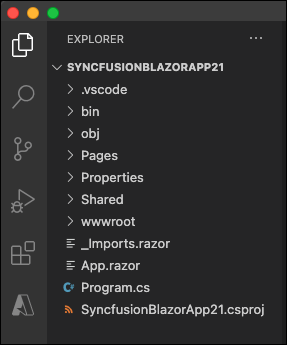Explorer window showing the created Blazor project