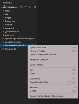 Select the Convert to Syncfusion Blazor App… option
