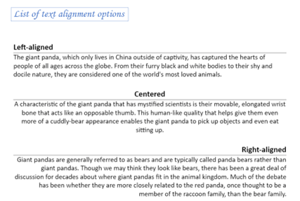 Paragraph border support in Blazor Word Processor