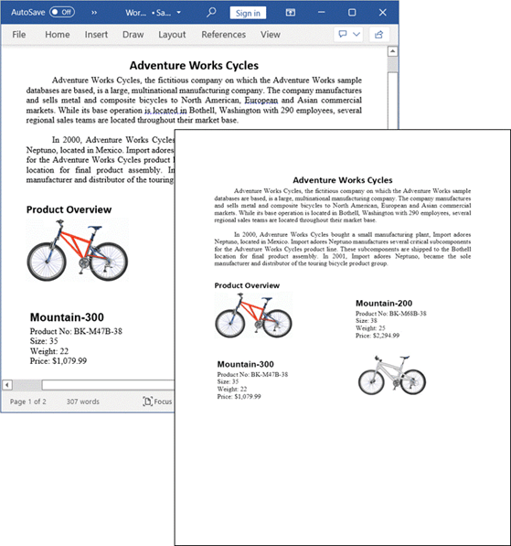 .NET Word Library word to image conversion.