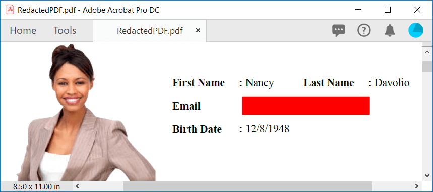 Redacted PDF with red color