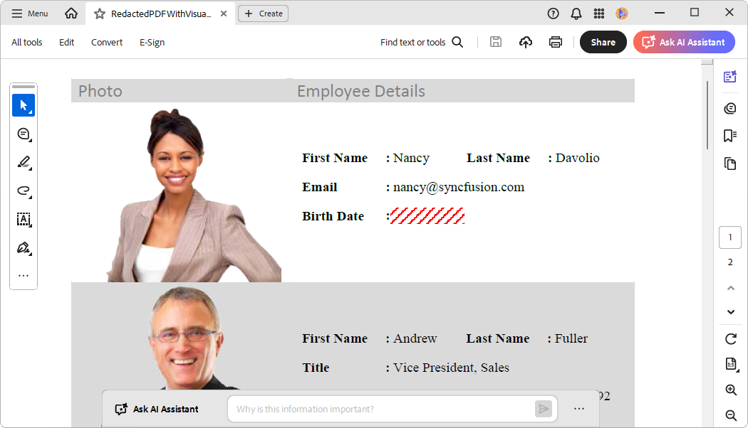 Enhance redacted areas with custom patterns using C#