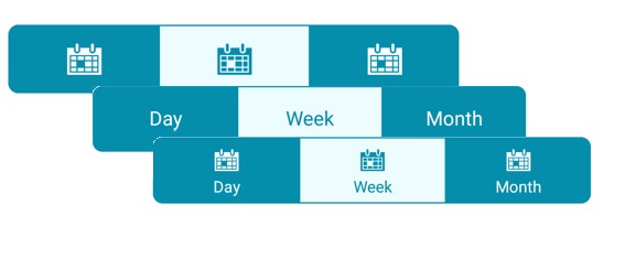 Scrollable Segmented Control Syncfusion Xamarin.Forms Input controls for Data Form | Syncfusion Blogs