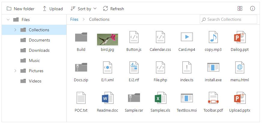 File Manager with large icons view