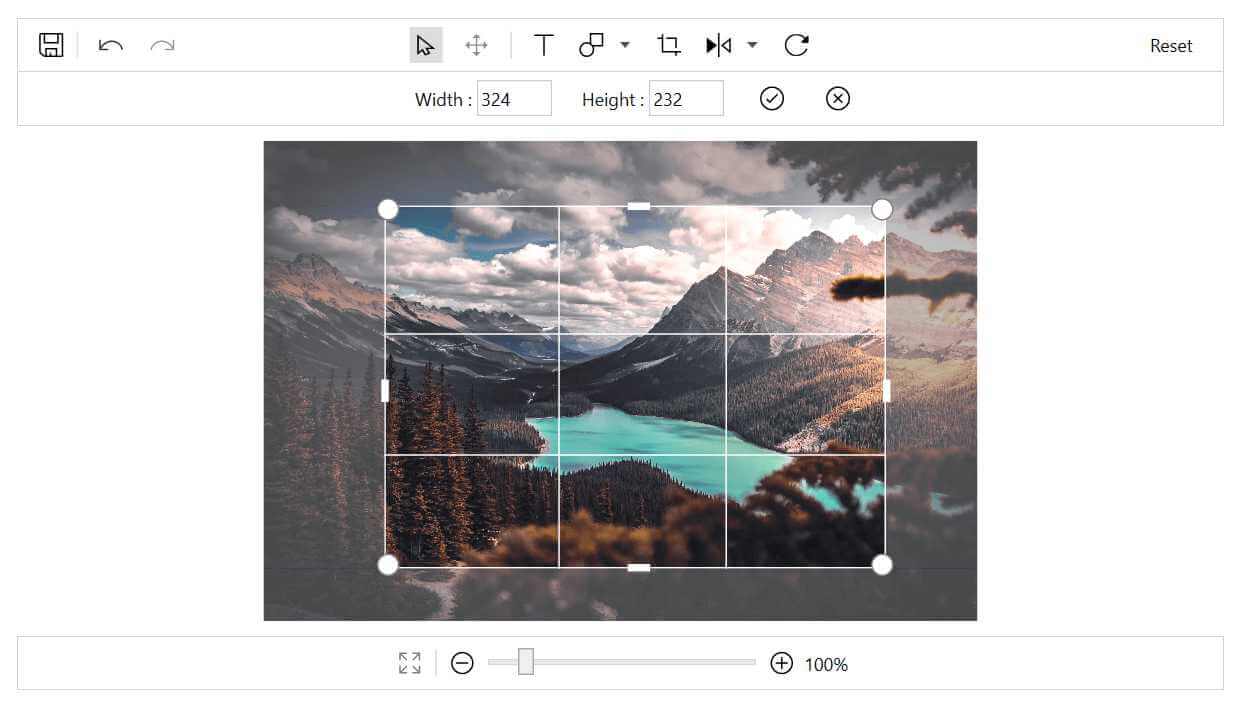 Cropping a particular region of an image in WPF Image Editor.