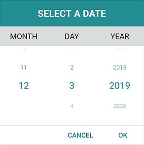 Customizing Xamarin.Forms Date Picker.