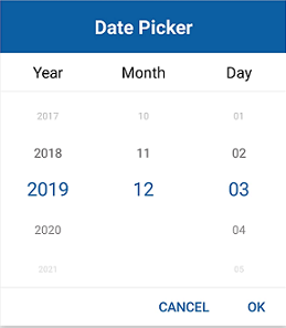 Formatting Xamarin.Forms Date Picker.