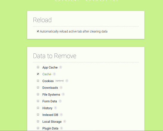 Clear Cache options