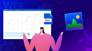 PDF to Image Conversion is Made Easy with WPF PDF Viewer