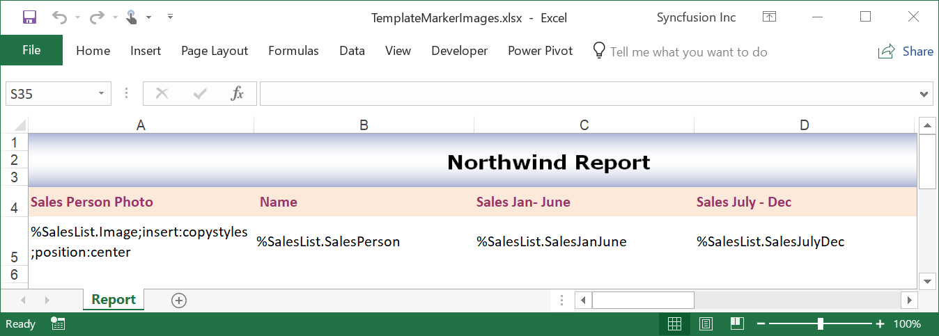 Input template with markers and conditional formats