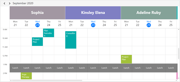 Special Time Region in WPF Scheduler Resource View