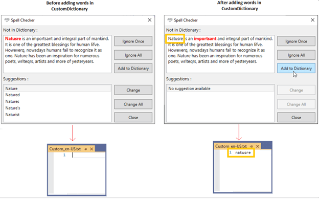 Adding Words to Custom Dictionary