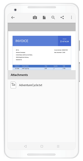 Viewing PDF Document Attachments