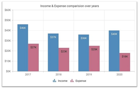 This column chart shows the past years’ income and expense details.