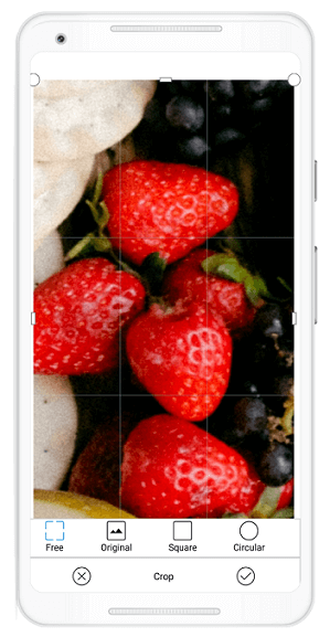 Zooming and cropping feature in Xamarin.Forms Image Editor