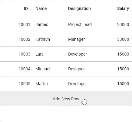 Displaying a Footer Row in the Flutter DataGrid