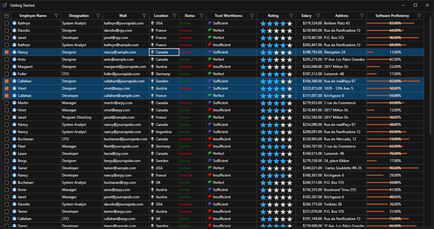 Customizing Themes Using Palettes in a WPF Application