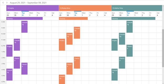 Creating Custom Resources in WinUI Scheduler