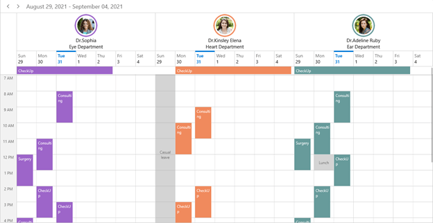 Resource View Customization in WinUI Scheduler