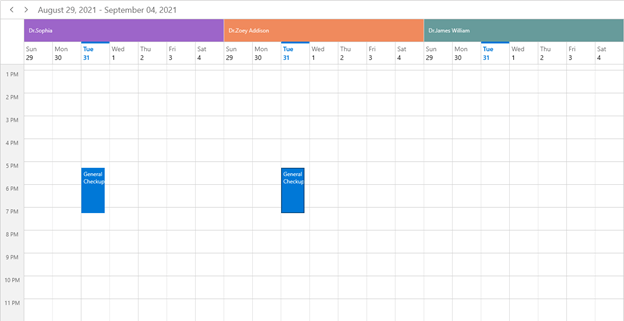 Scheduling Appointments to the Resources in WinUI Scheduler