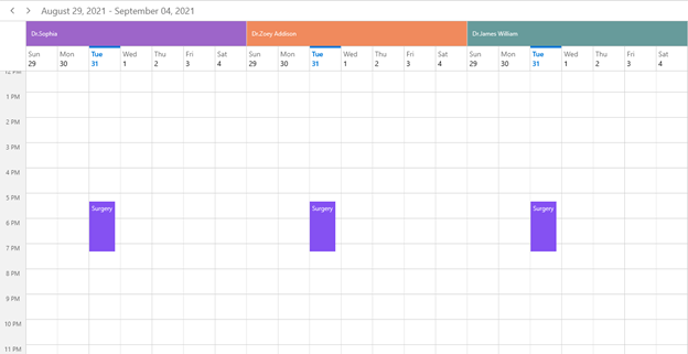 Sharing Appointments to Multiple Resources in WinUI Scheduler