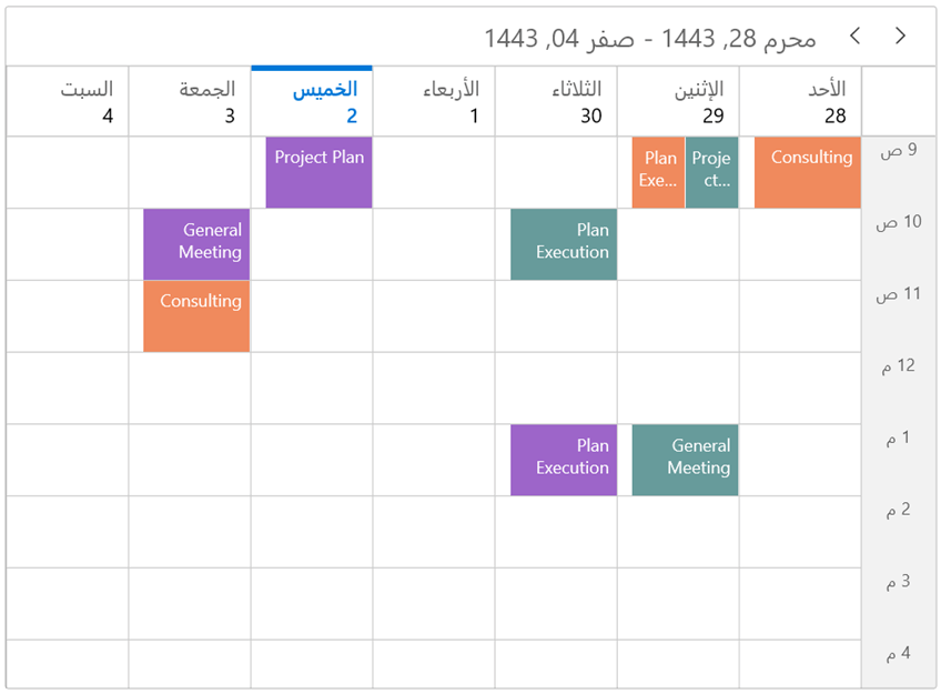 Different types of calendars in WinUI Scheduler