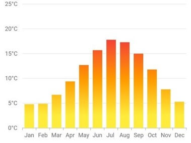 Flutter Column Chart Filled With Shader