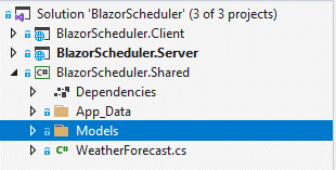 Create a new folder from the project shared directory under the name Models