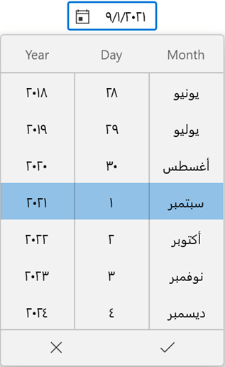 WinUI Date Picker’s Language Set to Arabic