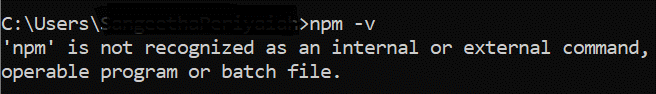 Error message confirming that npm is not installed