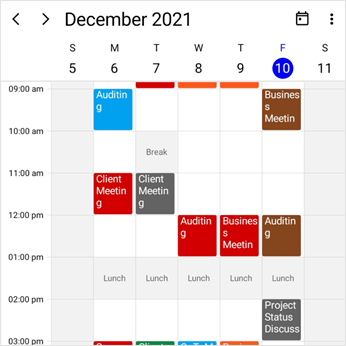 Highlight working hours in .NET MAUI Scheduler control