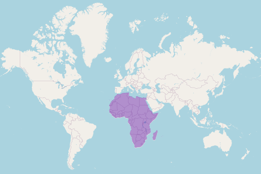 Location of African Continent on the World Map