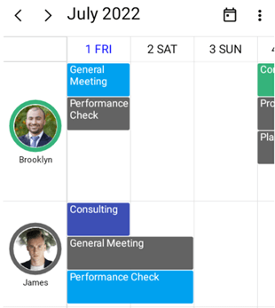 Resource View in the .NET MAUI Scheduler Timeline View