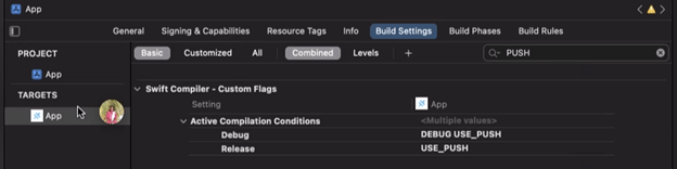 Search for the keyword Push inside the Build Setting Tab