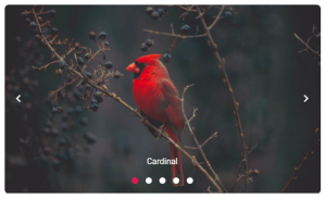 Building an Image Carousel in JavaScript Is Now Easy! | Syncfusion Blogs