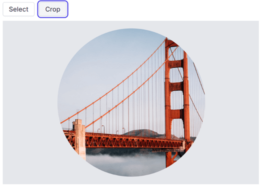 Cropping an Image Using Angular Image Editor