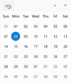 Date Format Customization in Calendar