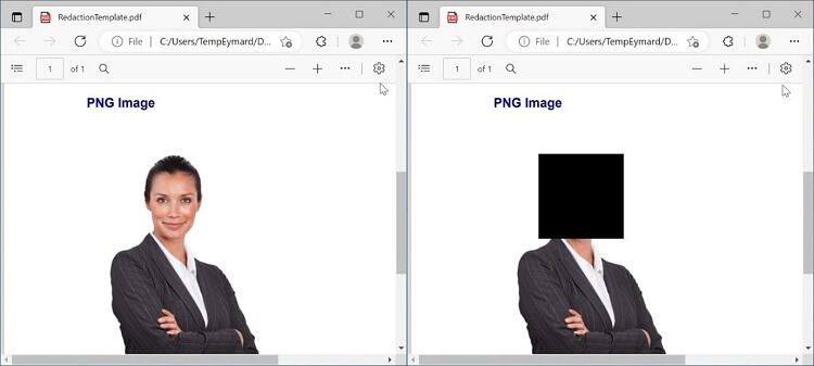 Image Redaction Feature in WinUI PDF Library