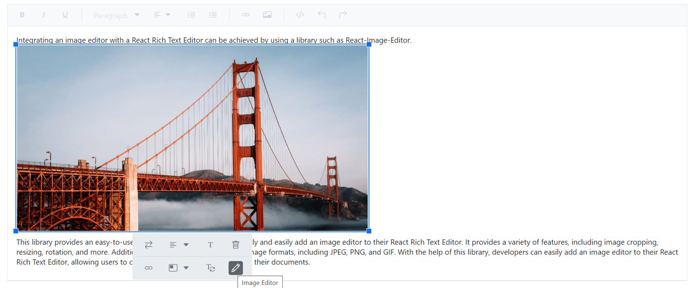 Adding Custom Image Editor Item in the Image Quick Toolbar