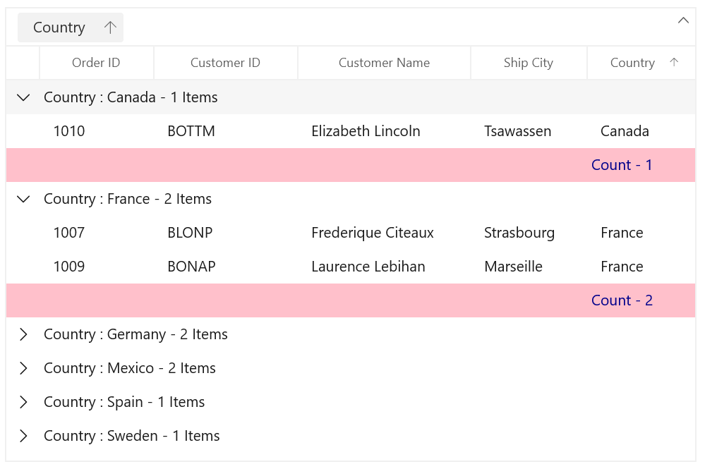 Customizing Group Summary in WinUI DataGrid