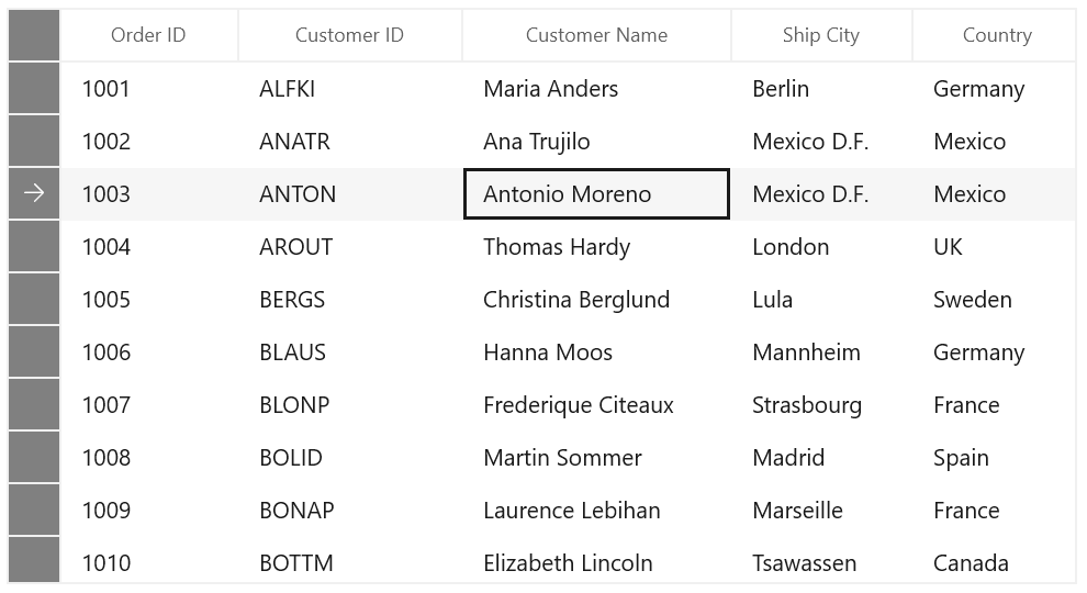 Customizing Row Headers in WinUI DataGrid