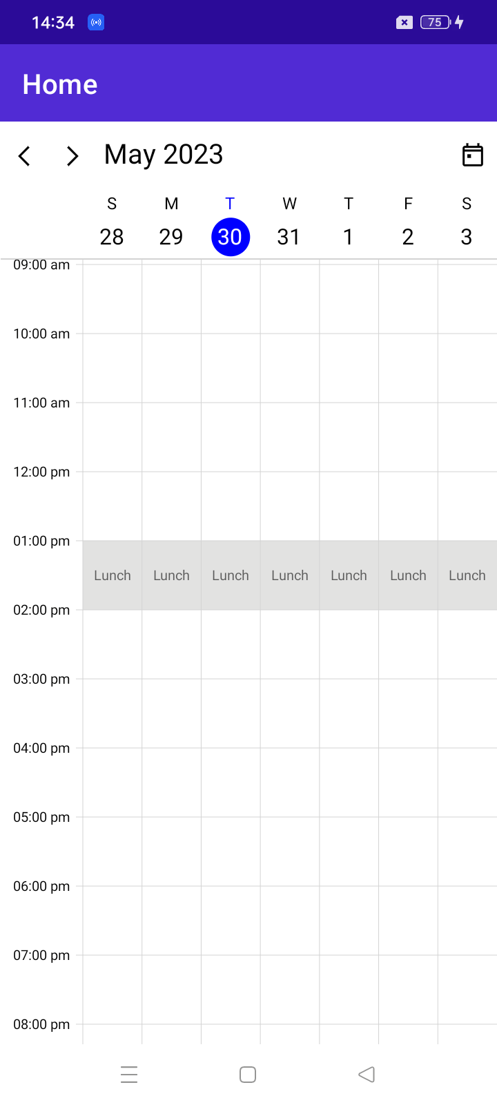 Time regions in .NET MAUI Scheduler