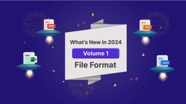 What’s New in 2024 Volume 1: File Format Libraries
