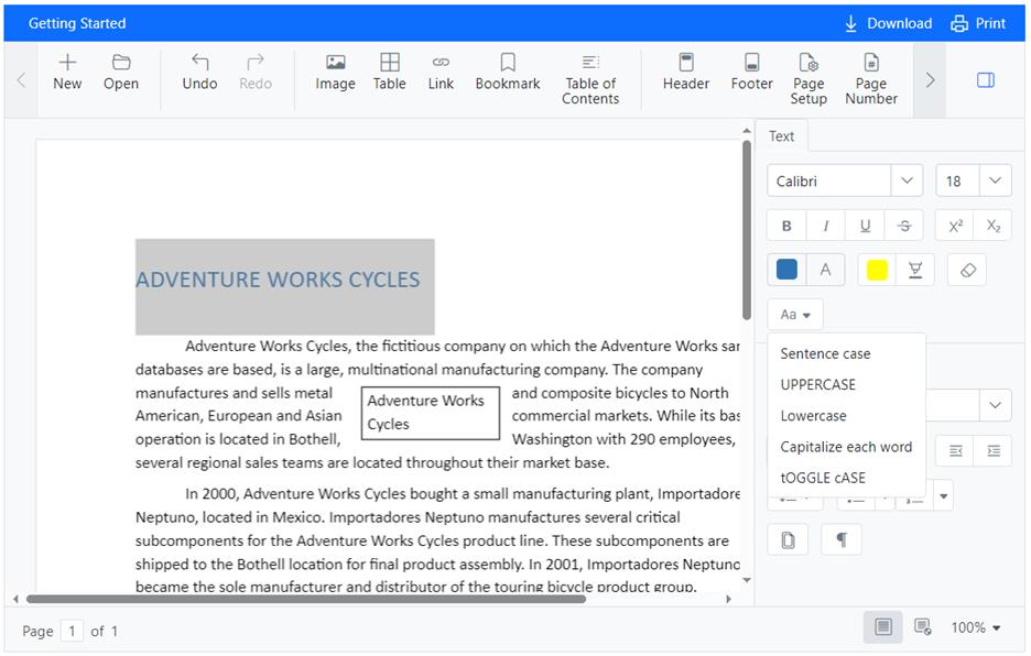 Text case changing options in Word Processor