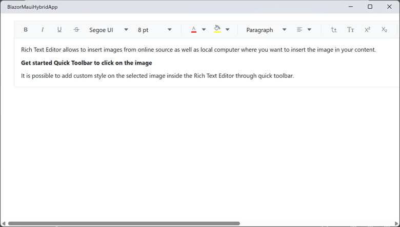 Displaying the Rich Text Editor alone on the output screen